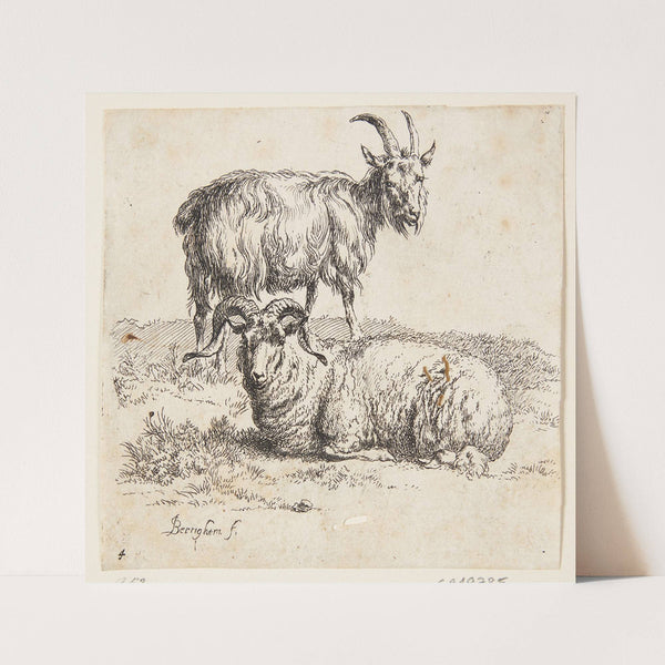 Stående ged og en liggende vædder by Nicolaes Pietersz. Berchem