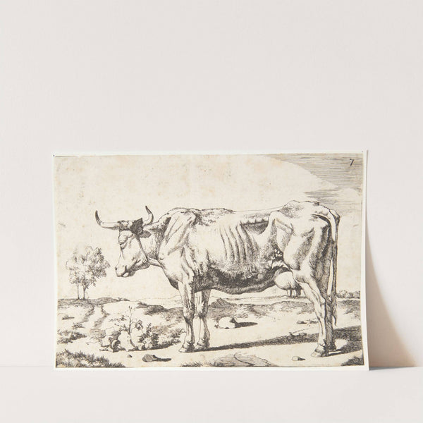 Stående ko by Marcus de Bye