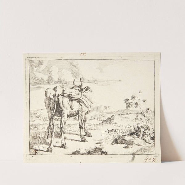 Stående ko, set bagfra by Marcus de Bye