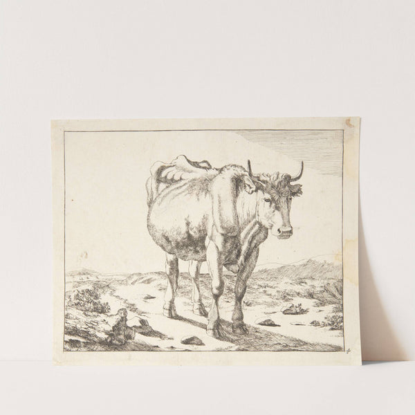 Stående ko, set forfra by Marcus de Bye