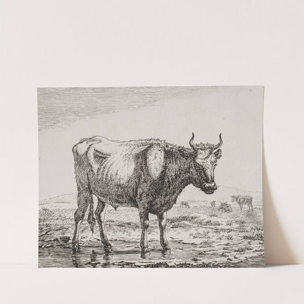 Stående ko ved vandhul by Christian Holm