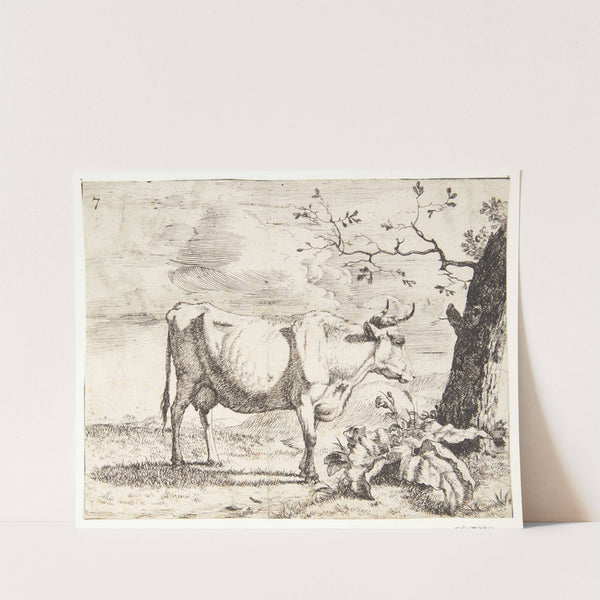 Stående ko, vendt mod højre by Marcus de Bye