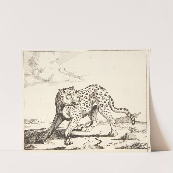 Stående leopard by Marcus de Bye