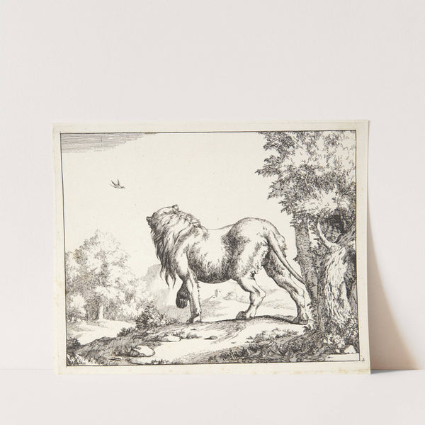 Stående løve, set bagfra by Marcus de Bye