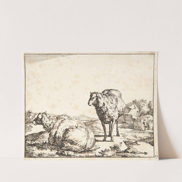 Stående og liggende får by Marcus de Bye