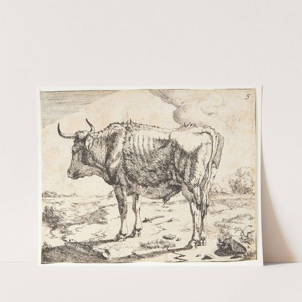 Stående stud by Marcus de Bye