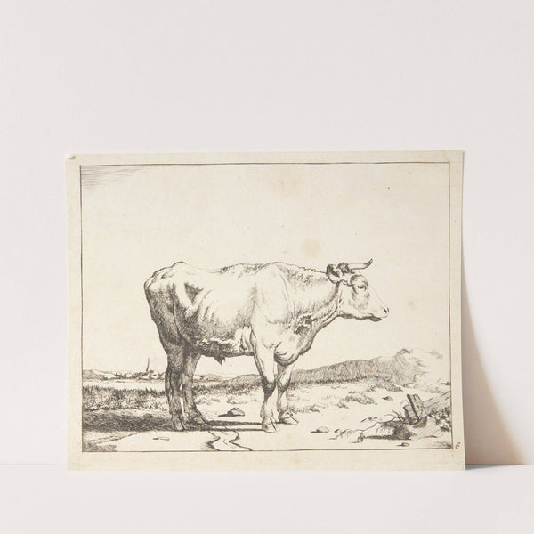 Stående stud mod højre by Marcus de Bye