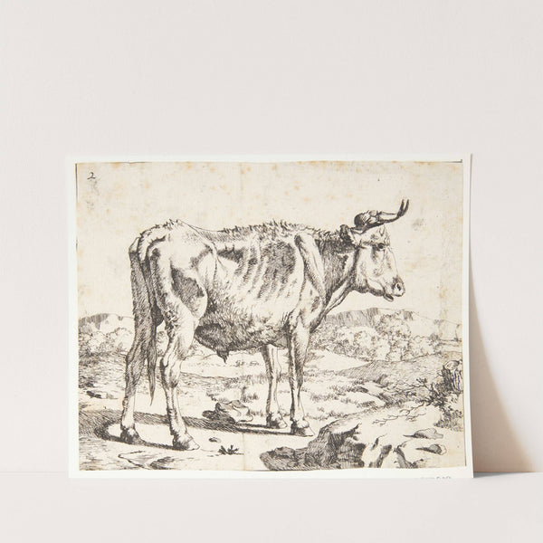 Stående tyrekalv, vendt mod højre by Marcus de Bye