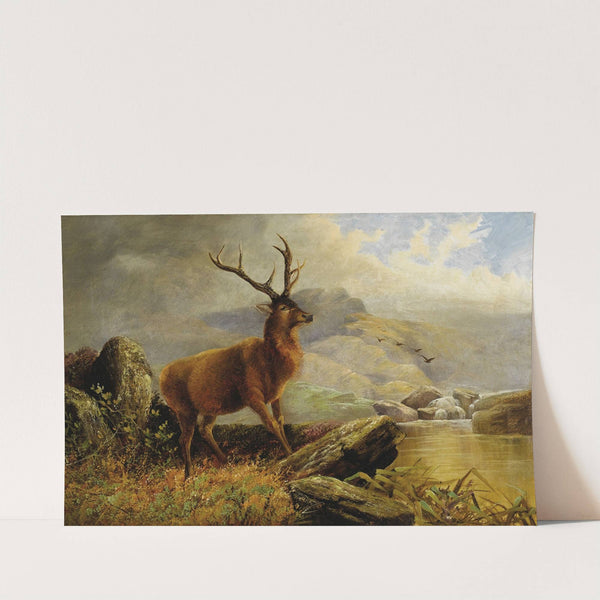 Stag at Mountain Stream by Henery Morris