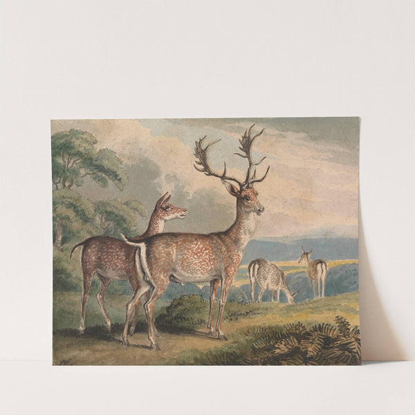 Stag, Doe and Fawns by Samuel Howitt