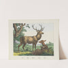 Stag (1829-1880) by Joseph Scholz