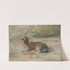 Stag Lying Down (c. 1875–85) by Rosa Bonheur