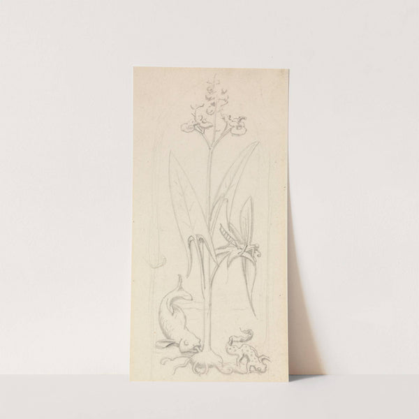 Stained Glass Study, Water Plant with Grasshoper, Fish and Newt by Sir John Everett Millais