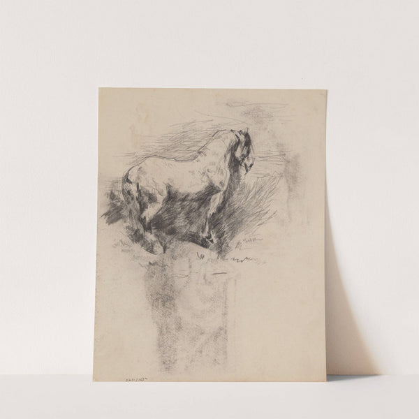 Stallion by James Ensor