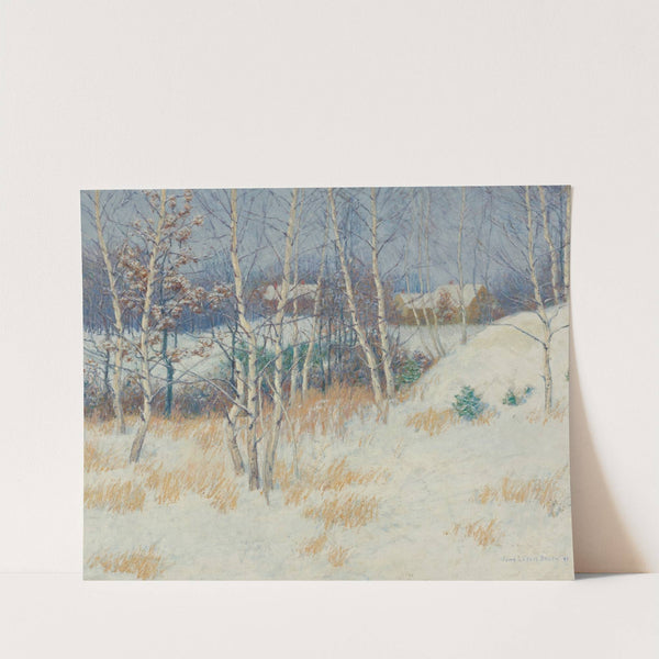Stand Of Birch Trees In Winter by John Leslie Breck