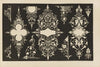 Standard Scroll Book Pl.11 (1876)