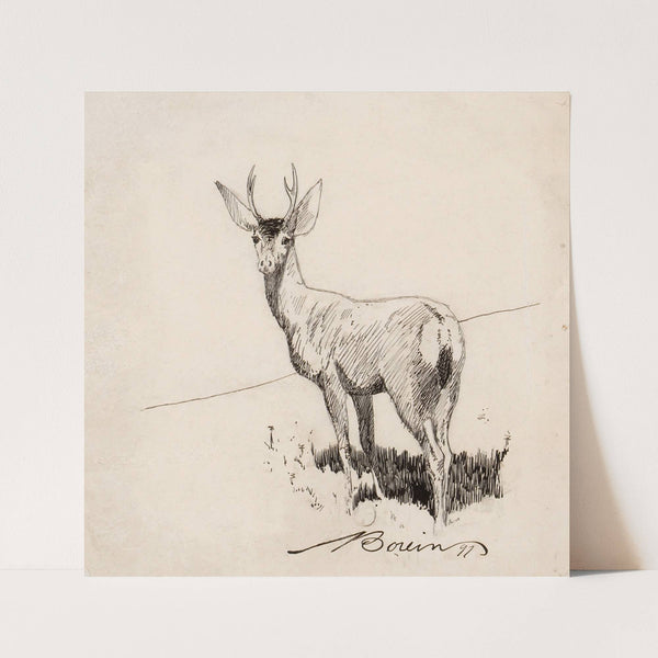 Standing Buck by Edward Borein