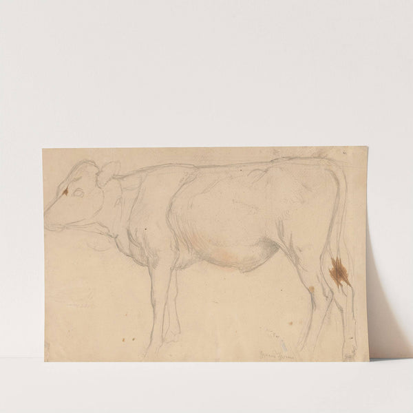 Standing Bull (1860 - 1924) by Hans Thoma