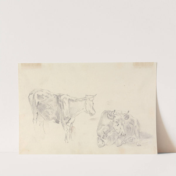 Standing cow facing right and a cow lying down by Sawrey Gilpin