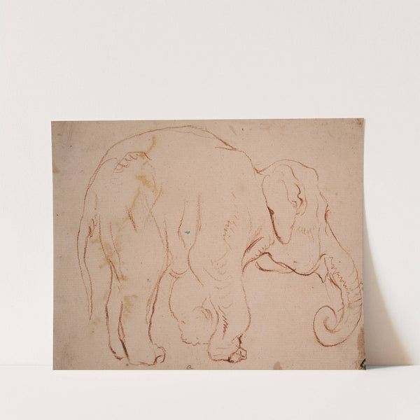 Standing elephant (ca. 1792) by Daniel Nikolaus Chodowiecki