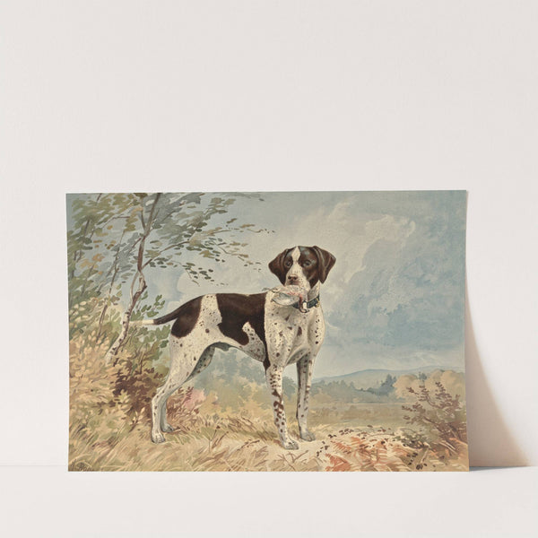 Standing English Pointer, facing right, bird in mouth (1880) by Alexander Pope Jr.