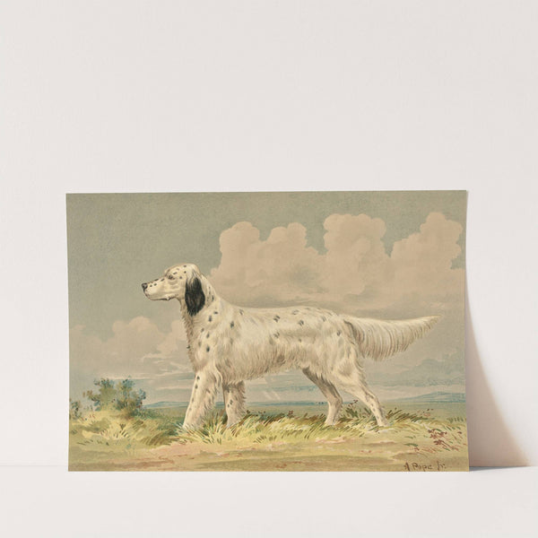 Standing English Setter, facing left (1880) by Alexander Pope Jr.