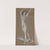 Standing Female Nude (1991) by Arthur Bowen Davies