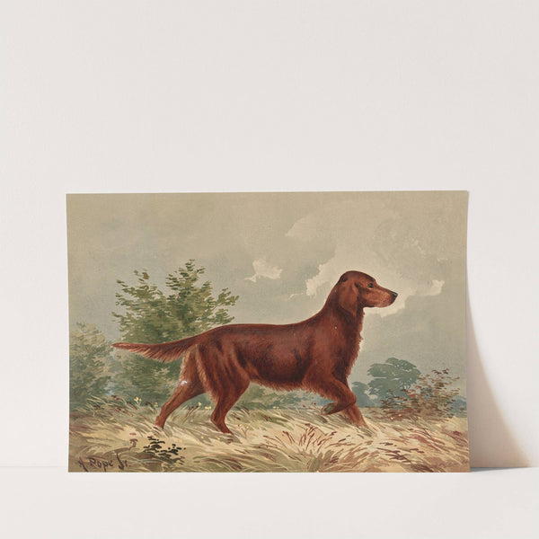 Standing Flatcoated Retriever, facing right (1880) by Alexander Pope Jr.
