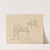 Standing Horse by Sawrey Gilpin