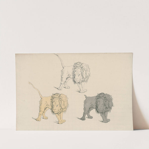 Standing lion in a threatening pose, three times repeated in different colours by David Humbert de Superville