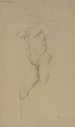 Standing male nude