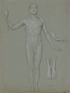 Standing male nude