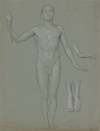 Standing male nude