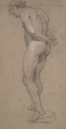 Standing Male Nude