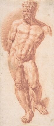 Standing Male Nude