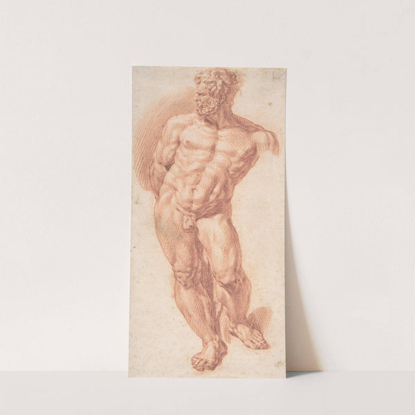Standing Male Nude by Denys Calvaert