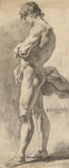Standing Male Nude