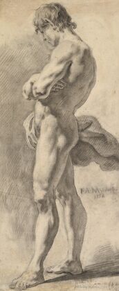 Standing Male Nude