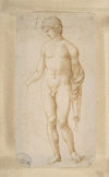 Standing Male Nude