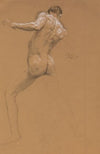 Standing Male Nude from Behind