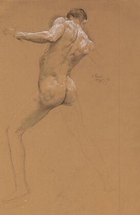 Standing Male Nude from Behind