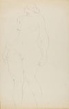 Standing Nude