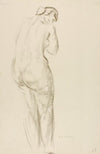 Standing Nude