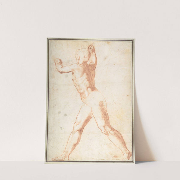 Standing Nude Man by Taddeo Zuccaro