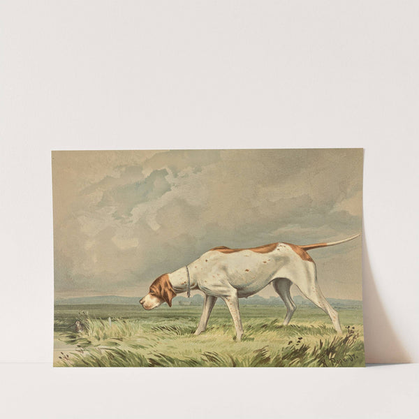 Standing Pointer, gazing at small bird in pond (1880) by Alexander Pope Jr.