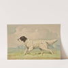 Standing Spotted Retriever, pointing left (1880) by Alexander Pope Jr.