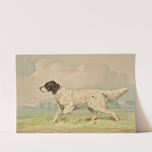 Standing Spotted Retriever, pointing left (1880) by Alexander Pope Jr.