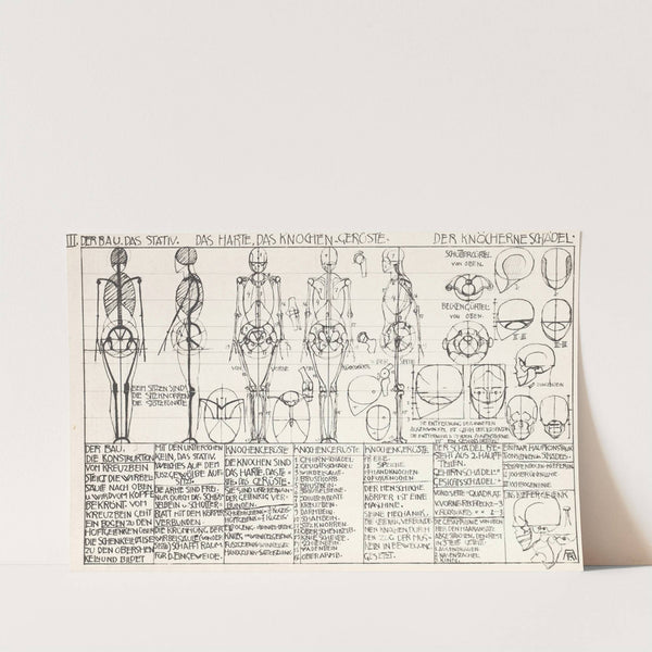 Statik und Dynamik des menschlichen Körpers Pl.03 (1933) by Alexander Rothaug