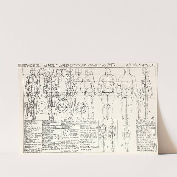 Statik und Dynamik des menschlichen Körpers Pl.04 (1933) by Alexander Rothaug