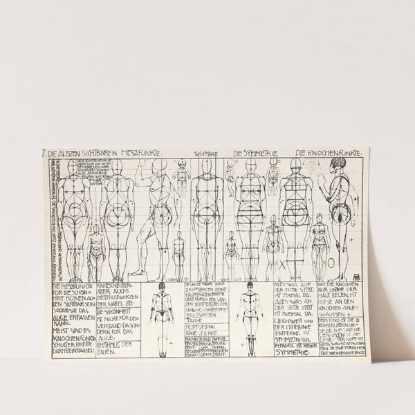 Statik und Dynamik des menschlichen Körpers Pl.05 (1933) by Alexander Rothaug